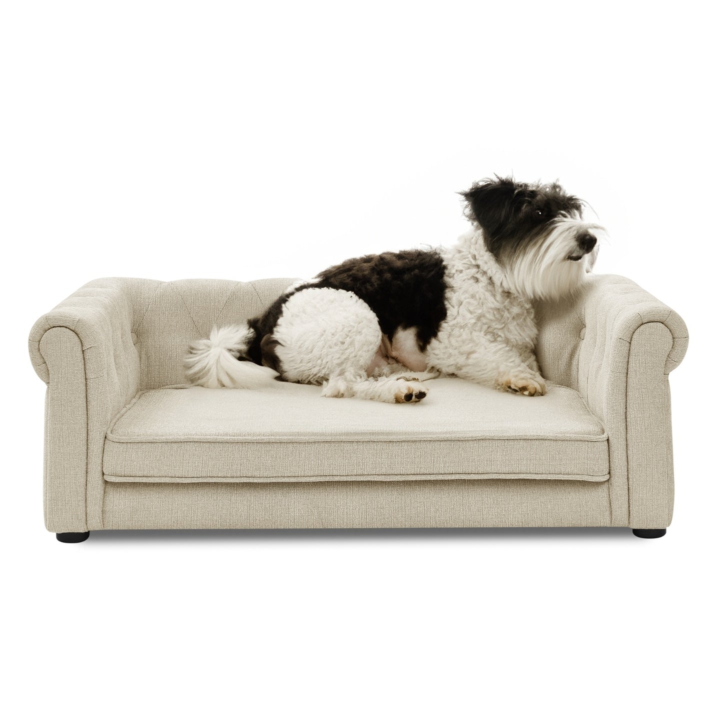 Mini Sofa For Dogs/Cats